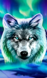 Wolf Fang - Northern Spirits