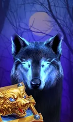 Book Of The Night Wolf